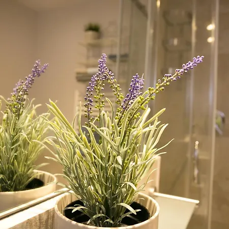 Apartamento Cola Di Rienzo A E B Roma