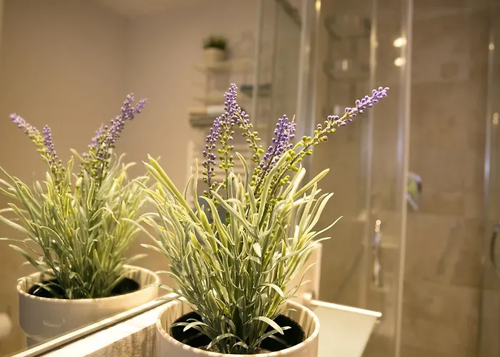 Apartamento Cola Di Rienzo A E B Roma